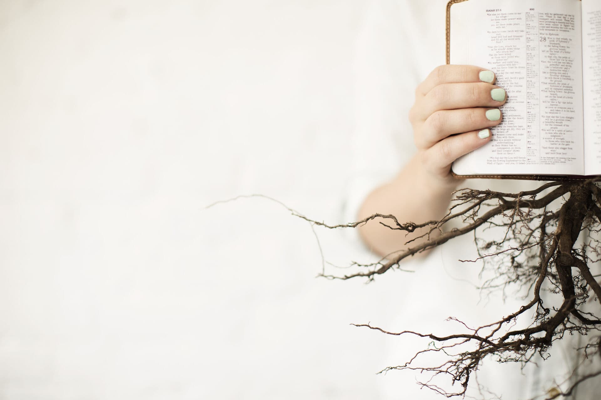 Tree roots background